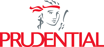 Data Insights & Reporting Specialist - Prudential