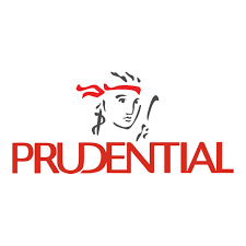 Data Insights & Reporting Specialist - Prudential