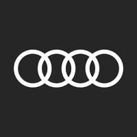 Cost Analyst - Audi F1 Project