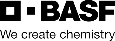 Data Analyst - BASF
