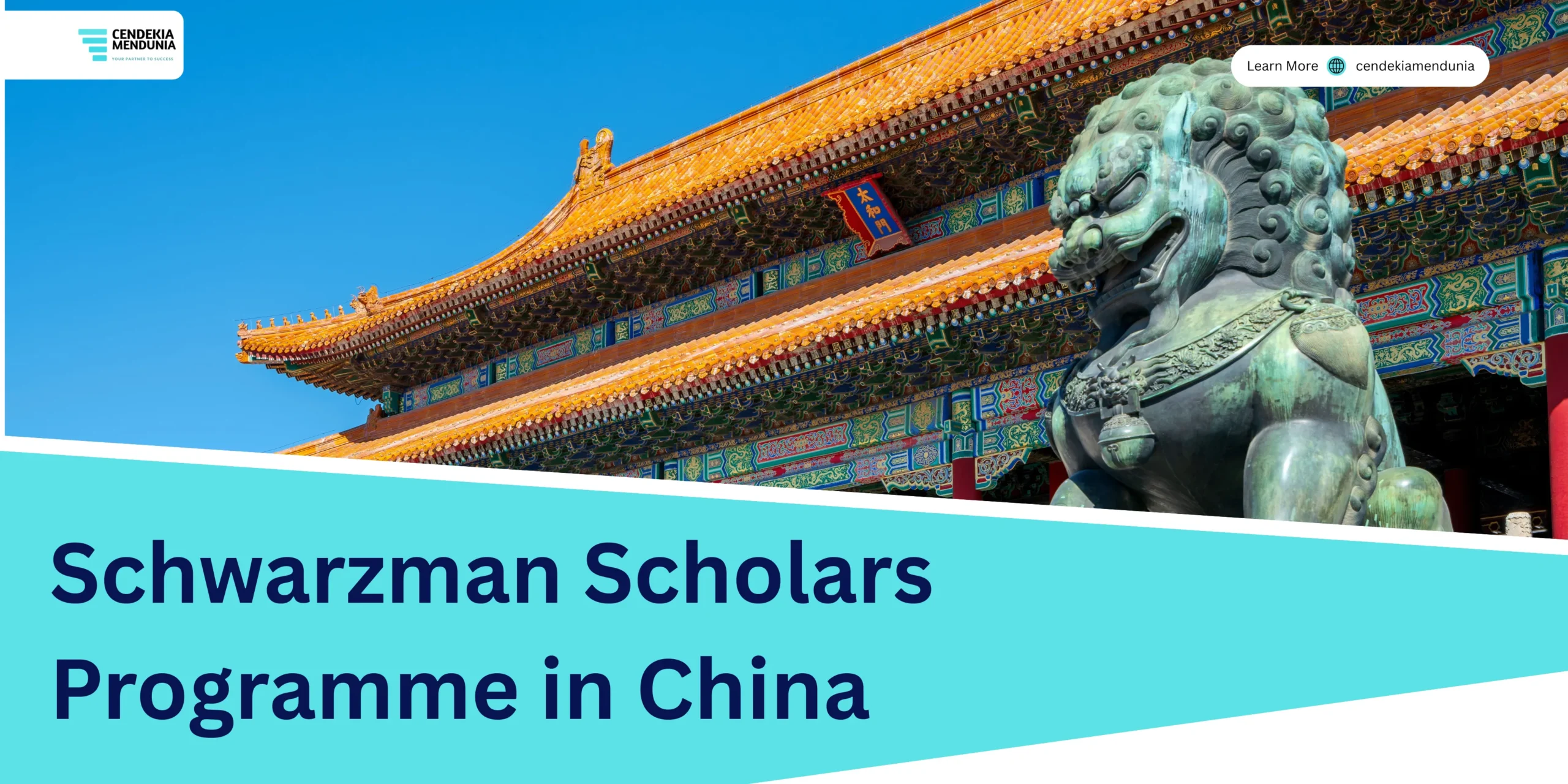 Schwarzman Scholars Programme in China
